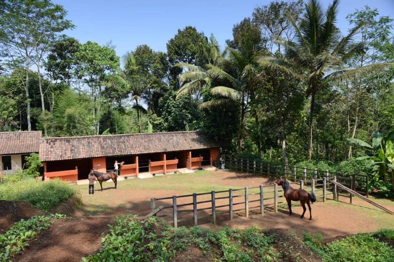 Mesastila Resort And Spa Magelang Exterior foto