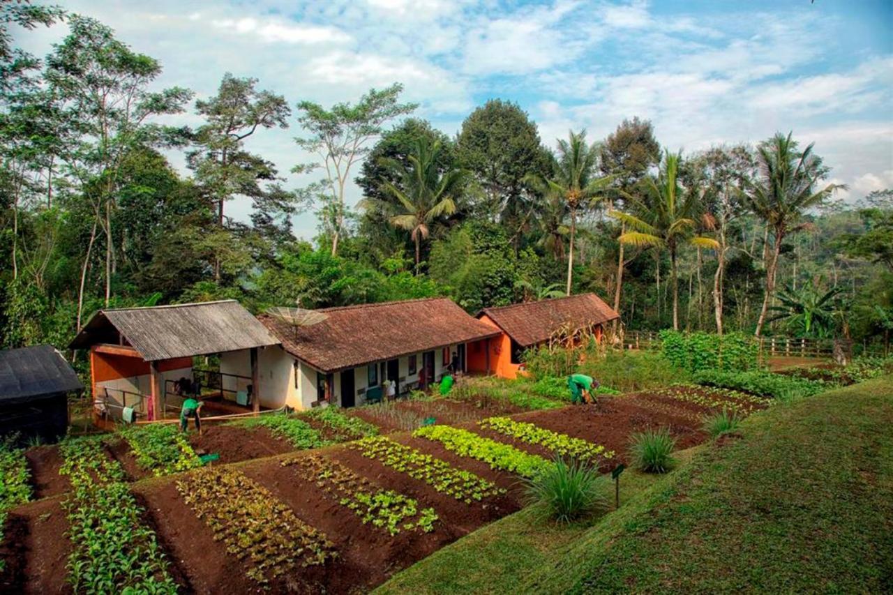 Mesastila Resort And Spa Magelang Exterior foto